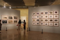 第二屆中國油畫學會雙年展 思想“在場”,劉小東,詹建俊,吳大羽,王煥青,張晴,范迪安,毛旭輝,許江,尚揚,楊參軍