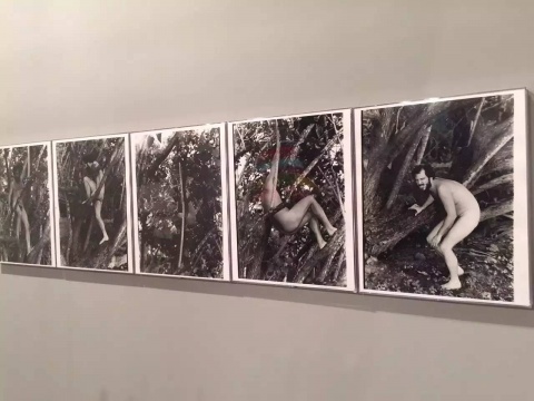 邁阿密當地畫廊 Fredric Snitzer Gallery
邁阿密當地畫廊 Fredric Snitzer Gallery