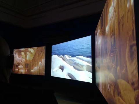 展覽最后，是Isaac Julien創(chuàng)作一組視頻裝置作品，以難民，西方語境下的弱勢種族的掙扎為主題

 

 

對我而言，逛夏季展覽最大的挑戰(zhàn)是要阻止自己去“解讀”。因為職業(yè)的緣故，我總是不自覺的在眾多作品中挑揀分辨熟悉的藝術(shù)家，而忽略了其他作品的存在。這在夏季展覽是非常不公平且遺憾的。于是，我嘗試著讓自己做一個絕緣體，忍住看展覽目錄的沖動，剝?nèi)ジ郊釉谧髌飞砩系囊磺型庠谝蛩?，單純的看作品，看它們的排列方式，看它們彼此多么的不同，又是怎樣的相同。我努力的不再去想這屋子里有誰，那屋子里有誰。我試著去看每一件作品，體驗一個藝術(shù)素人的快樂，分享場里小朋友的興奮，放松自己的視覺和心腦，任由它被目不暇接的藝術(shù)作品吸引、占有。好的，壞的，喜歡的，不喜歡的，只有反應(yīng)，不做評判。這可能是我有史以來最輕松的一次觀展體驗。
