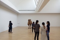 趙趙新展亮相唐人，“塔克拉瑪干”的駱駝來到展廳,崔燦燦,趙趙,杰羅姆·桑斯