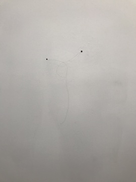 《世界與我無關》 尺寸可變 長頭發(藝術家本人的),墻面 2017
《世界與我無關》 尺寸可變 長頭發(藝術家本人的),墻面 2017
