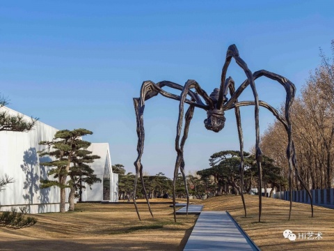 路易絲·布爾喬亞《媽媽》，927.1×891.5×1023.6cm 鋼，大理石 1999，泰特美術館收藏。松美術館“路易絲·布爾喬亞：永恒的絲線”展覽現場（展出時間2019年3月24-6月23日），攝影：JJYPHOTO
