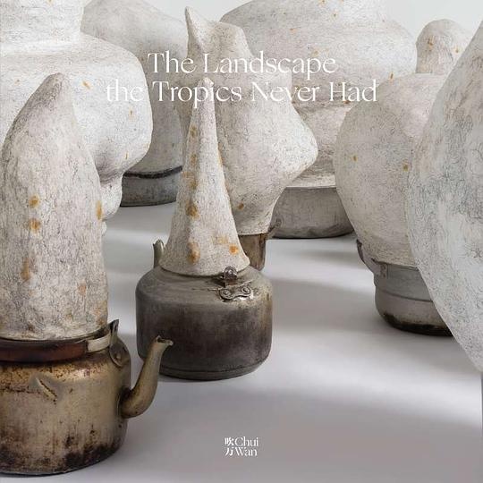 hui Wan《熱帶從未有過的風景》專輯封面,2017年發行 封面藝術家:李鋼
hui Wan《熱帶從未有過的風景》專輯封面,2017年發行 封面藝術家:李鋼