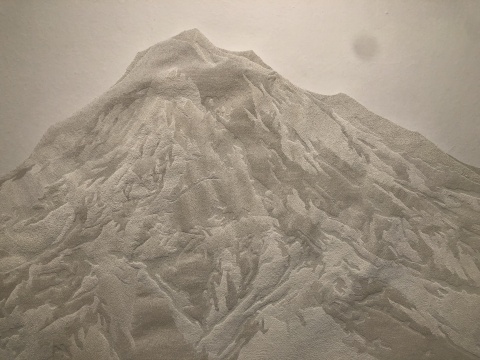 前波畫廊展出付小桐2017年的作品《孔》
前波畫廊展出付小桐2017年的作品《孔》