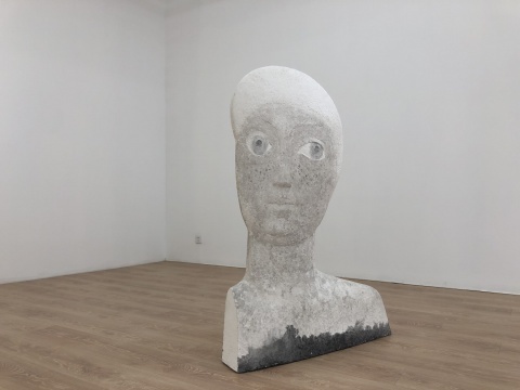 新氧藝O2art藝術空間“穿過目光擁有你”王偉個展現(xiàn)場
當觀眾步入空間,那些或立于展廳、或置于墻面,或貼近墻角的以人物形象為載體的雕塑,眼神堅定,仿佛看穿了一切。
新氧藝O2art藝術空間“穿過目光擁有你”王偉個展現(xiàn)場
當觀眾步入空間,那些或立于展廳、或置于墻面,或貼近墻角的以人物形象為載體的雕塑,眼神堅定,仿佛看穿了一切。