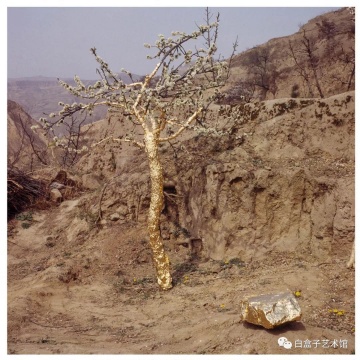 靳勒《貼金-李子樹》行為藝術(shù) 2005
靳勒《貼金-李子樹》行為藝術(shù) 2005