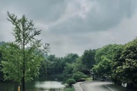 隈研吾與一座美術館的故事“消失的建筑”中一場“消失的展覽”