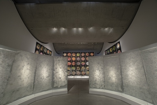 新空間首展!首屆北京藝術與科技雙年展“合成生態”在798CUBE開幕 新空間首展!首屆北京藝術與科技雙年展“合成生態”在798CUBE開幕