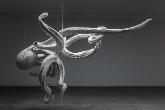 《降臨》,向京,2019年,圖片 ? 向京工作室
《降臨》,向京,2019年,圖片 ? 向京工作室