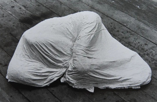 《睡宮》 22×91×106cm
石膏、麻 1973 ?藝術(shù)家
《睡宮》 22×91×106cm
石膏、麻 1973 ?藝術(shù)家