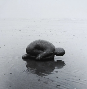 安東尼·葛姆雷 “大地、大海和天空”系列二
《大地》(蜷伏人像)
45×103×50cm 鉛、玻璃纖維 1982
?藝術(shù)家
安東尼·葛姆雷 “大地、大海和天空”系列二
《大地》(蜷伏人像)
45×103×50cm 鉛、玻璃纖維 1982
?藝術(shù)家