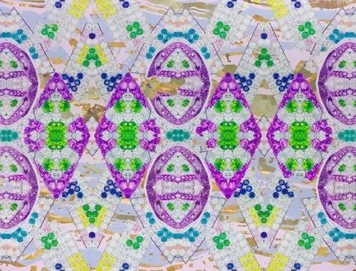 《Cladopteris》350×458cm
布面油畫 2014-2019
《Cladopteris》350×458cm
布面油畫 2014-2019