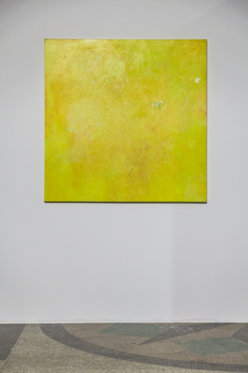 《Pieris Rapae》150×150cm
布面丙烯 2015
“南風”展覽現場
天線空間上海,2015
王墑的健身是藝術呈現,是他藝術思想的維度之一。
人通過運動塑造自己的肌肉和形態,像雕塑一樣。
他覺得“運動”如同身體與藝術和思想中間的介詞,
在跳的過程中,實際上是他在消耗自己身體的能量,
但是產生新的能量,賦予精神,賦予色彩,賦予畫面。
它形成了一個身體與思想能量轉換的機制。
《Pieris Rapae》150×150cm
布面丙烯 2015
“南風”展覽現場
天線空間上海,2015
王墑的健身是藝術呈現,是他藝術思想的維度之一。
人通過運動塑造自己的肌肉和形態,像雕塑一樣。
他覺得“運動”如同身體與藝術和思想中間的介詞,
在跳的過程中,實際上是他在消耗自己身體的能量,
但是產生新的能量,賦予精神,賦予色彩,賦予畫面。
它形成了一個身體與思想能量轉換的機制。