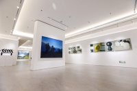 GUARDIAN ART SPACE群展“眾妙之門”，呈現(xiàn)這一隅“美麗世界”,楊洋,劉軍,莊棪,于軼文,孫子垚