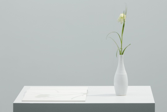 于爾根·斯塔克《光之素描（貝母屬/象棋花）》40×70×120cm 花瓶、A4 素描本、基座 2020
