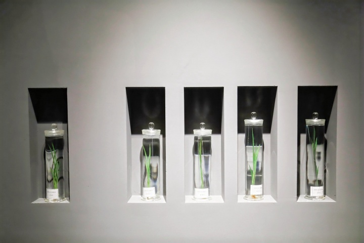 沈少民個(gè)展“米:吃進(jìn)胃里的詩歌”
嘉源海美術(shù)館展覽現(xiàn)場(chǎng)
沈少民個(gè)展“米:吃進(jìn)胃里的詩歌”
嘉源海美術(shù)館展覽現(xiàn)場(chǎng)