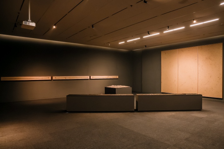 沈少民 從美術(shù)館的稻田里生長(zhǎng)出來的作品 沈少民 從美術(shù)館的稻田里生長(zhǎng)出來的作品