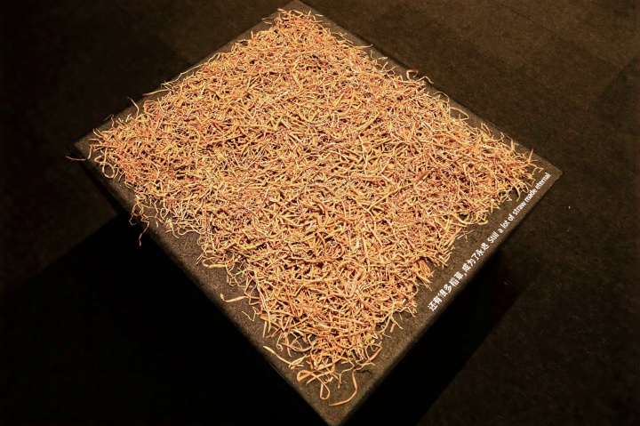 沈少民 從美術(shù)館的稻田里生長(zhǎng)出來的作品 沈少民 從美術(shù)館的稻田里生長(zhǎng)出來的作品