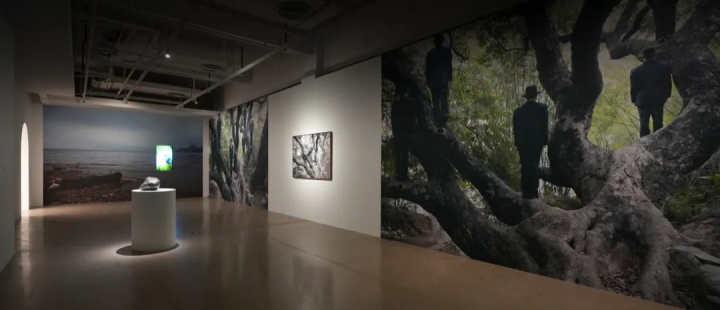 厲檳源個展“夜火藍山”現場
昆明當代美術館,2024
厲檳源個展“夜火藍山”現場
昆明當代美術館,2024