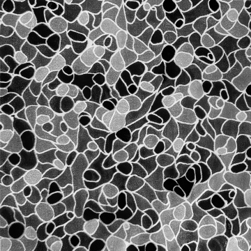 《臨界點289》
水印木刻
58×58cm 2025
《臨界點289》
水印木刻
58×58cm 2025