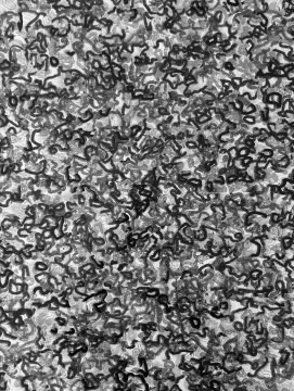 《臨界點22》水印木刻40×50cm 2023 《臨界點22》水印木刻40×50cm 2023