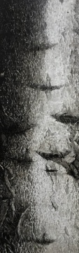 《20170262-2》-橫
布面油畫
250×80cm 2020
《20170262-2》-橫
布面油畫
250×80cm 2020