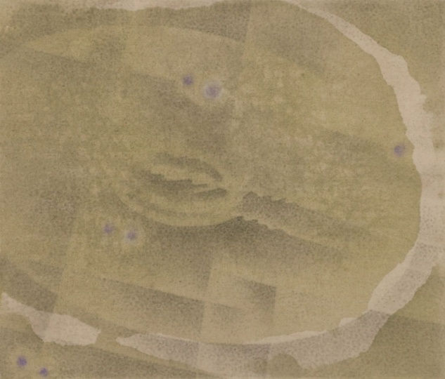 《藻類》85×100cm 墨、丙烯、色粉、赤玉土、亞麻布 2024
《藻類》85×100cm 墨、丙烯、色粉、赤玉土、亞麻布 2024