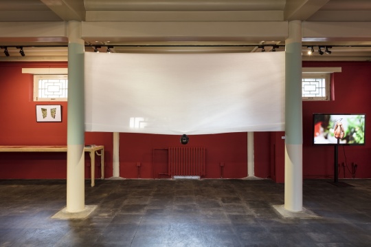 展覽現場
展覽現場