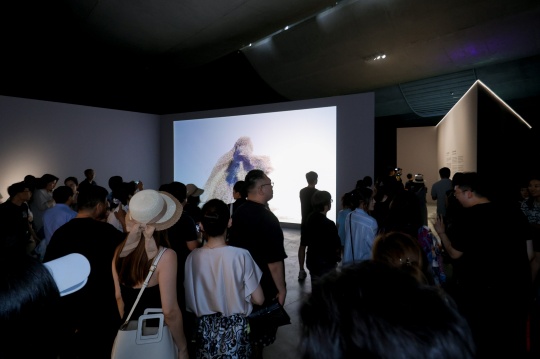 英國先鋒團體UE登陸798CUBE，中國首展構(gòu)建數(shù)字時代的沉浸藝術(shù)現(xiàn)場